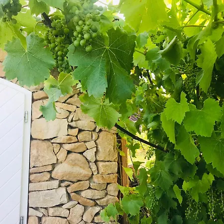 Southeifel-finca Ammeldingen bei Neuerburg